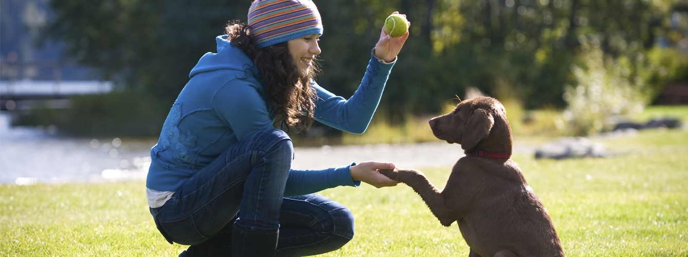 El síndrome de domesticación provoca cambios en los animales y una reciente investigación ha descrito los cambios epigenéticos que lo explican. 