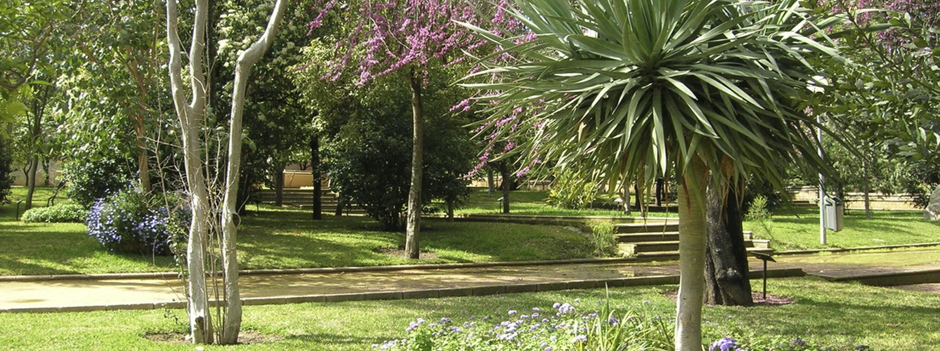 Imagen de los jardines del Zoobotánico de Jerez de la Frontera.