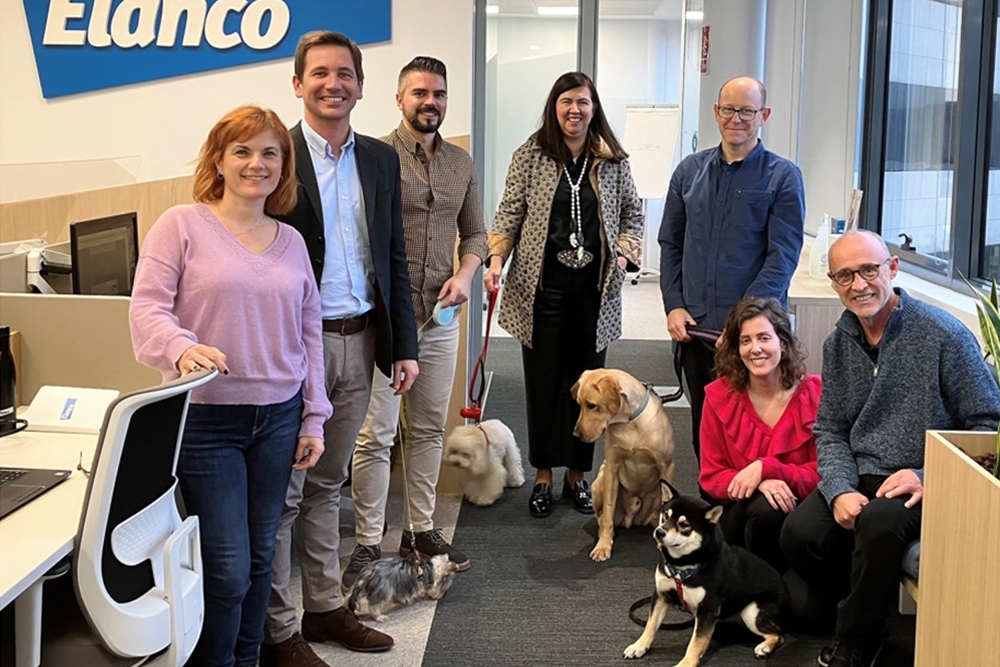 La oficina de Elanco en Alcobendas ahora es 'dog friendly'.