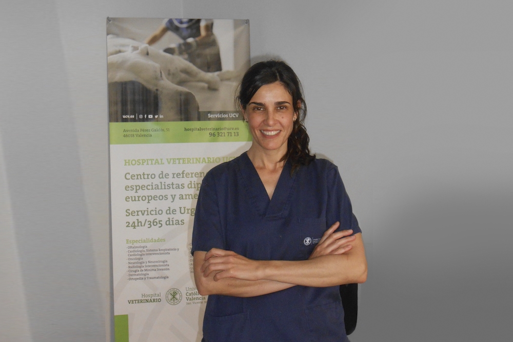 La experta Elena Fenollosa será la encargada de impartir el webinar de Dechra.