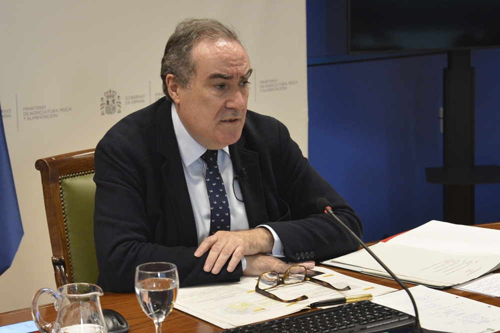 Emilio García Muro, director general de Sanidad de la Producción Agroalimentaria y Bienestar Animal del Ministerio de Agricultura.