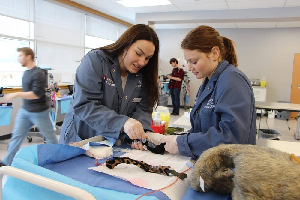 La evolución de los últimos diez cursos muestra una reducción notable del precio público de estudiar Veterinaria en España. 