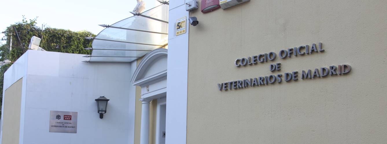 La 'Fundación Animal Hub' fue constituida por el Colegio de Veterinarios de Madrid (Colvema).