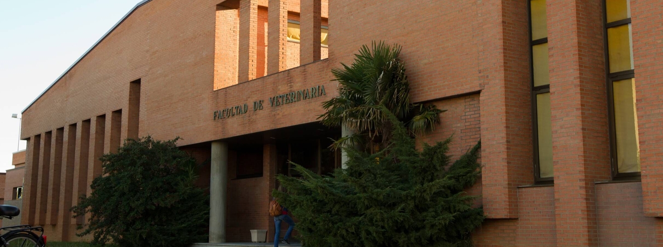 La nota de corte en primera asignación de la Facultad de Veterinaria de la Universidad de León este año ha sido de 11,390.