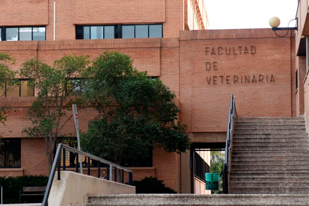 La Facultad de Veterinaria de Murcia ha sido una de las primeras en publicar las notas de corte de su primera adjudicación.