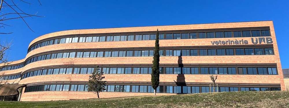 Universidad Autónoma De Barcelona Notas De Corte