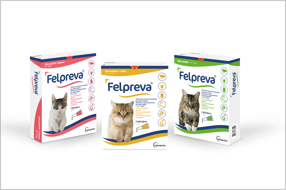 Felpreva de Vetoquinol, el nuevo antiparasitario para gatos con mayor protección durante más tiempo.