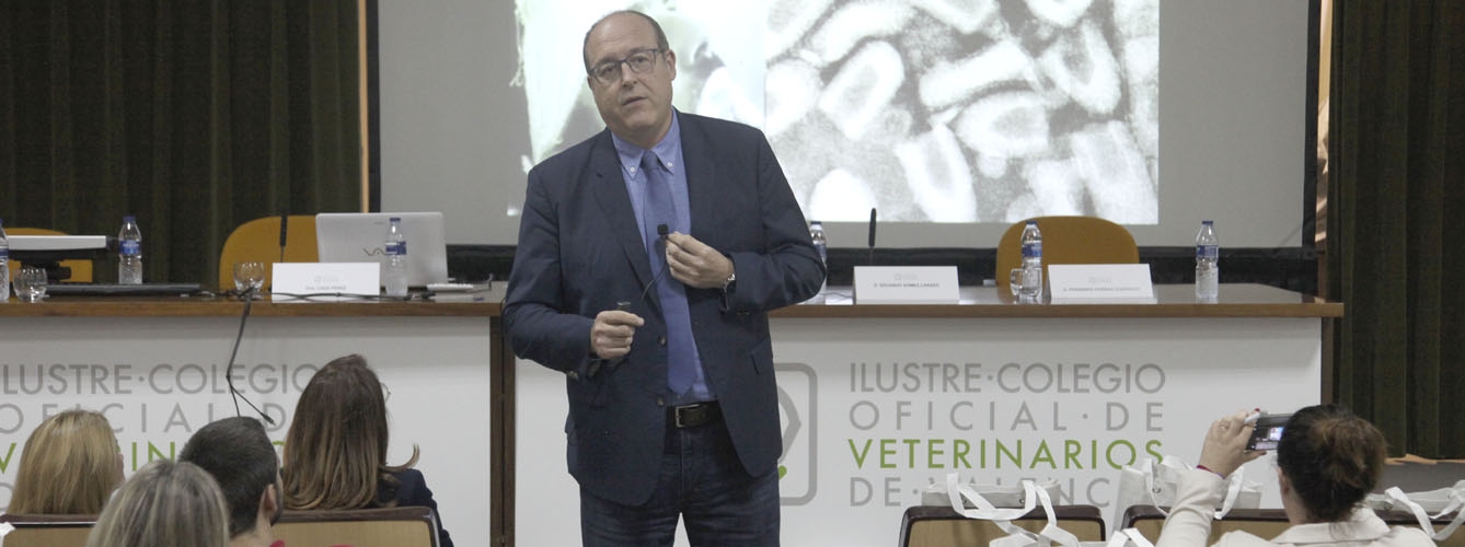 Fernando Fariñas,  inmunólogo y vacunólogo experto en rabia
