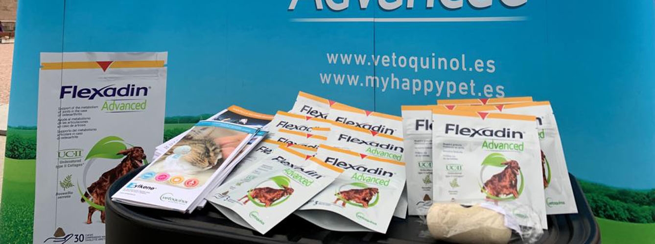 Flexadin Advanced y Vetoquinol apoyan la adopción y la tenencia responsable de animales de compañía.