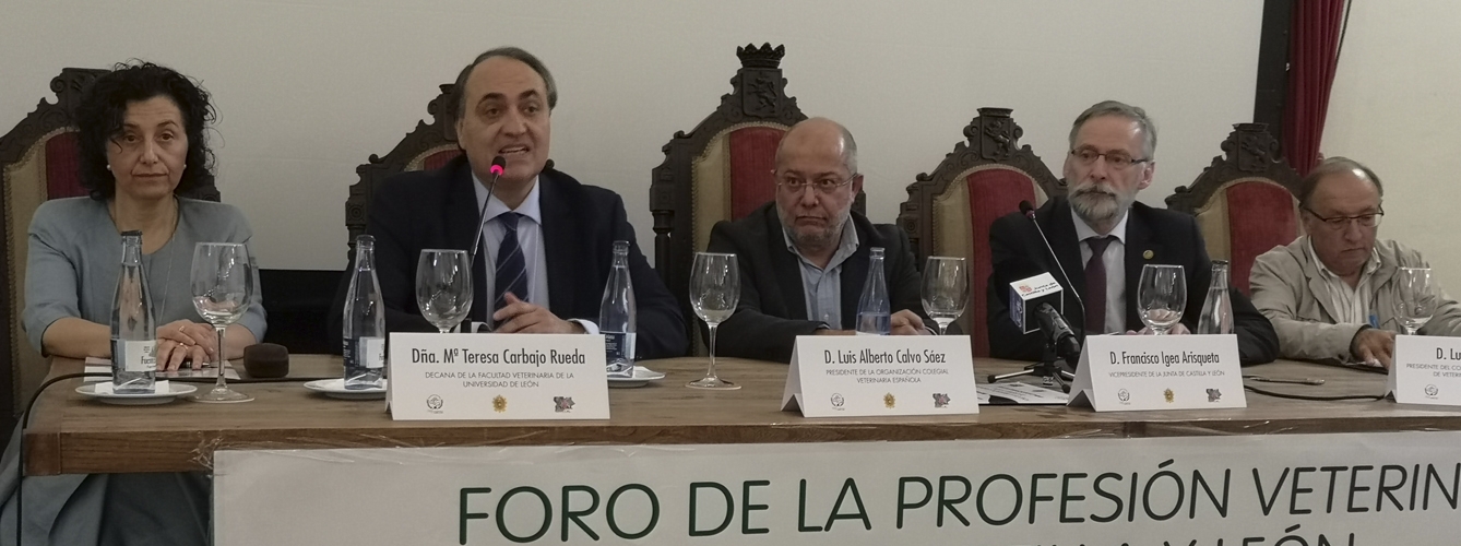 Arranca el Foro de la Profesión Veterinaria de Castilla y León