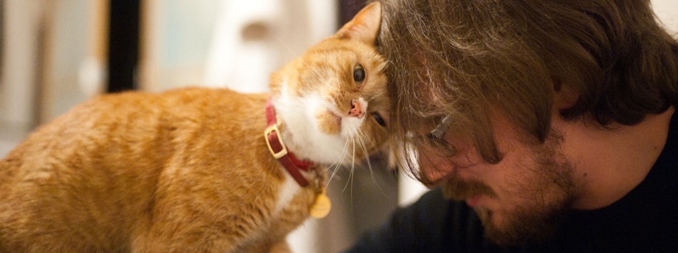 5 razones por las que tu gato te ama con locura