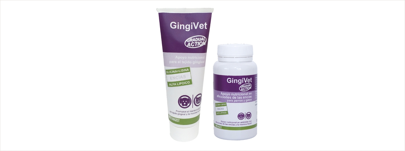 La nueva presentación en pasta de GingiVet se une a la que ya tenía Stangest en el mercado en forma de comprimidos.