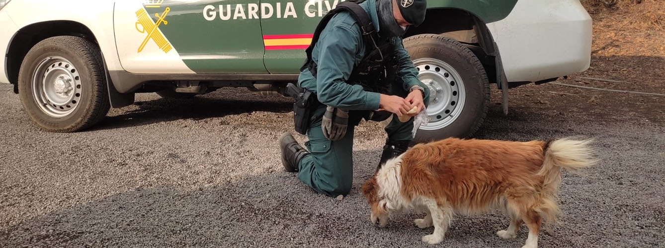 Imagen de un Guardia Civil atendiendo a un perro en La Palma.