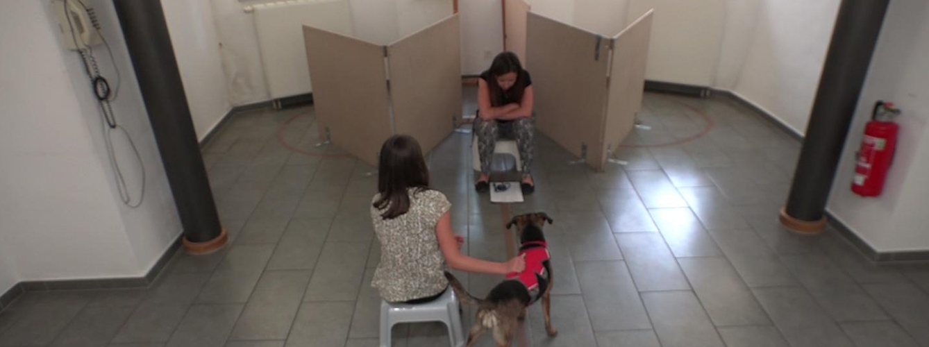 Momento de la prueba con perros durante la investigación.