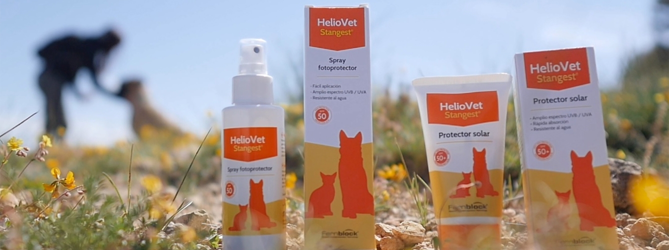 Stangest presenta HelioVet Spray, nuevo formato de su protector solar para mascotas