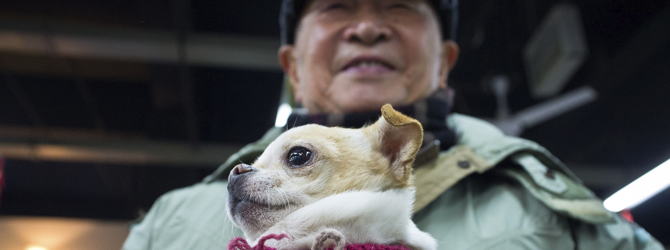 Algunas residencias permiten que los mayores convivan con sus mascotas, pero cuando empiezan a sufrir problemas por su avanzada edad, los japoneses pueden llevarlas a un hogar para animales mayores.