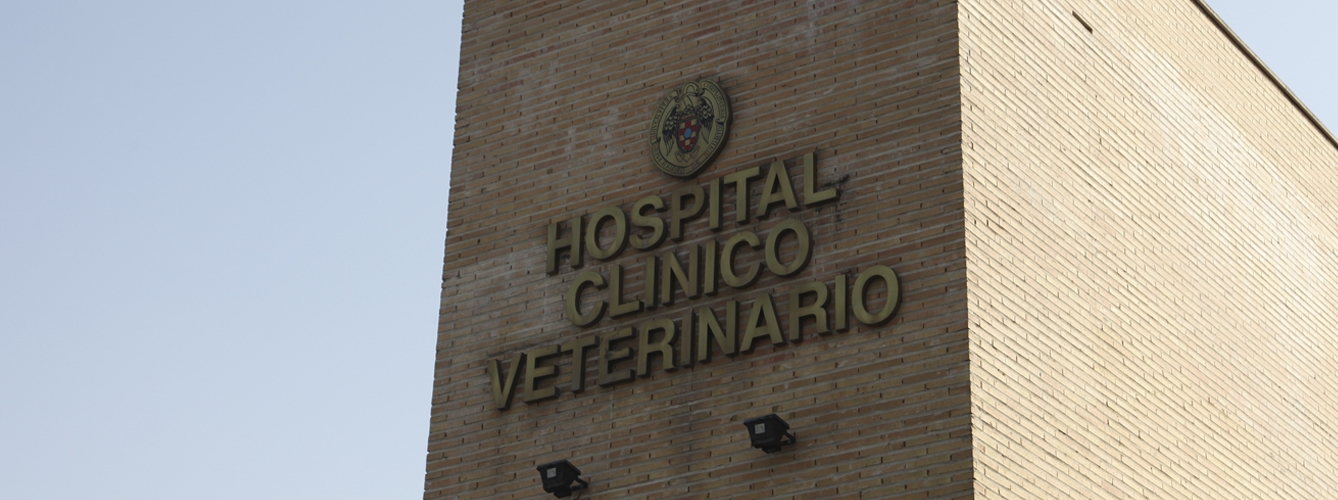 El Hospital Veterinario de la Universidad Complutense ha convocado becas de formación de alta especialización.