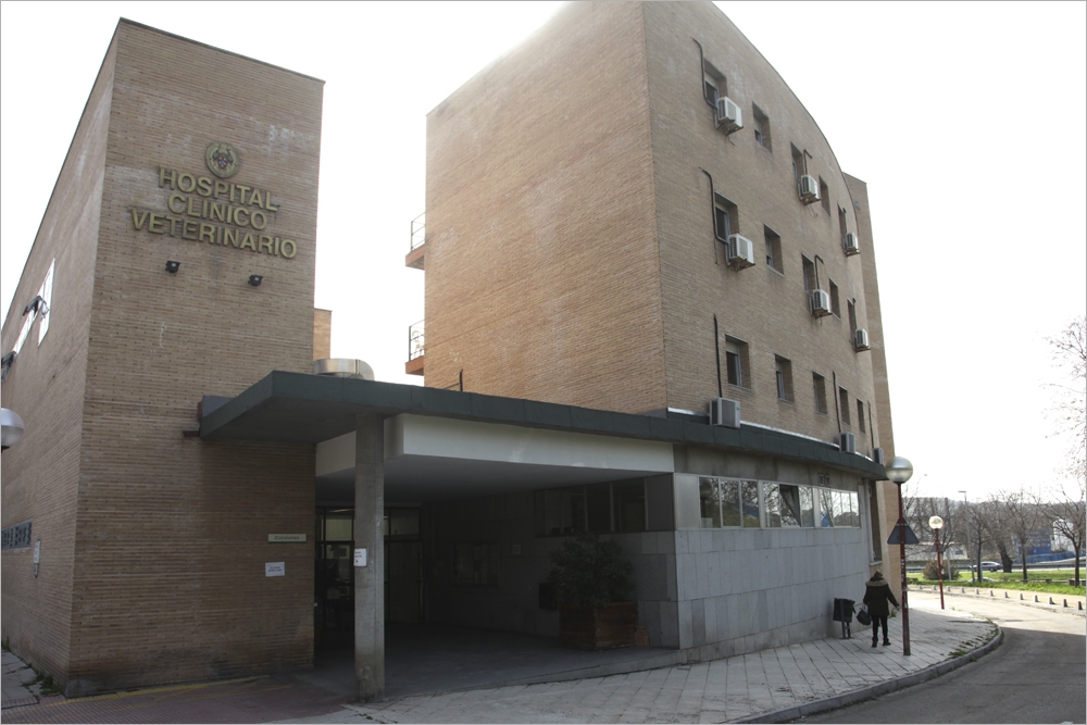 El estudio se desarrolló en el Hospital Clínico Veterinario Complutense (Alfonso Neira/Animal's Health).
