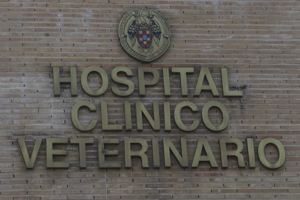 El Hospital Clínico Veterinario de la Universidad Complutense de Madrid ha participado en el estudio.