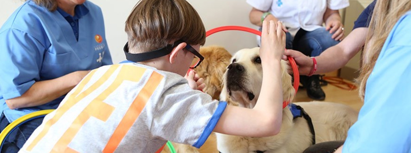 Una terapia con perros ayuda a niños con síndrome de alcoholismo fetal