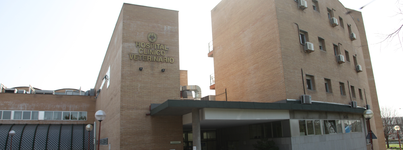El estudio ha sido llevado a cabo en animales tratados en el Hospital Clínico Veterinario de la Universidad Complutense de Madrid.