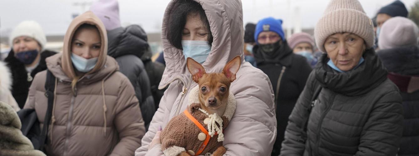 Los veterinarios piden que se relajen los controles para que los refugiados ucranianos puedan huir del país con sus animales. AP/Vadim Ghirda.
