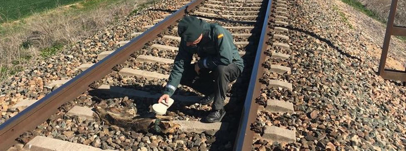 Agente de la Guardia Civil analizando el cadáver de uno de los galgos atados a las vías del tren