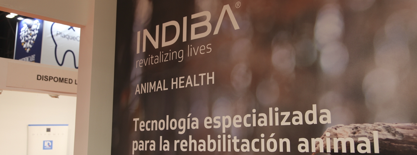 Los veterinarios pueden acceder a literatura científica sobre rehabilitación animal a través de la nueva plataforma de INDIBA.