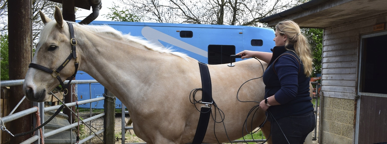 El equipo de radiofrecuencia de 448 khz de INDIBA Animal Health es efectivo en el tratamiento del dolor en caballos. 