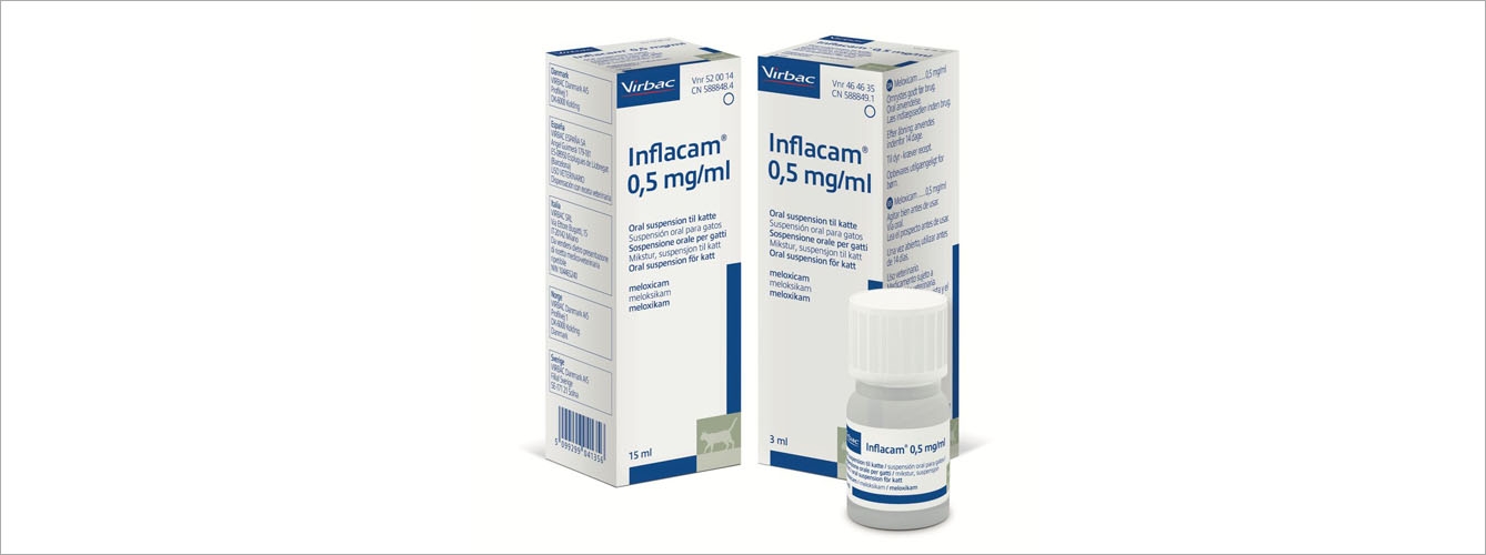 Virbac acaba de presentar el nuevo Inflacam suspensión oral para gatos, a base de meloxicam 0,5 mg/ml.