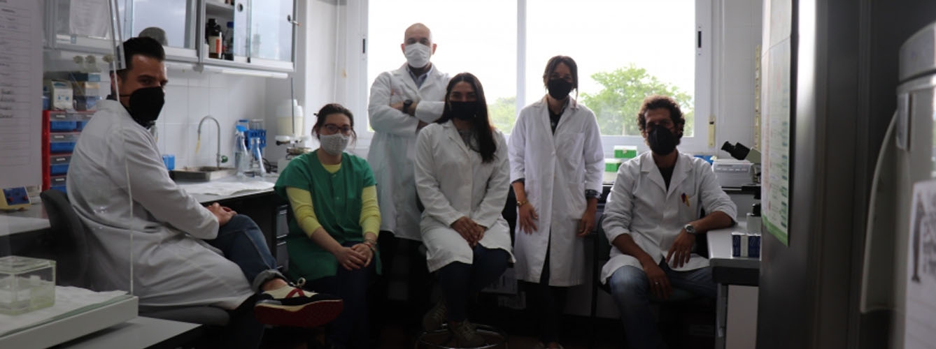 Miembros del grupo de investigación de Anatomía Patológica Animal de la Universidad de Córdoba (UCO).