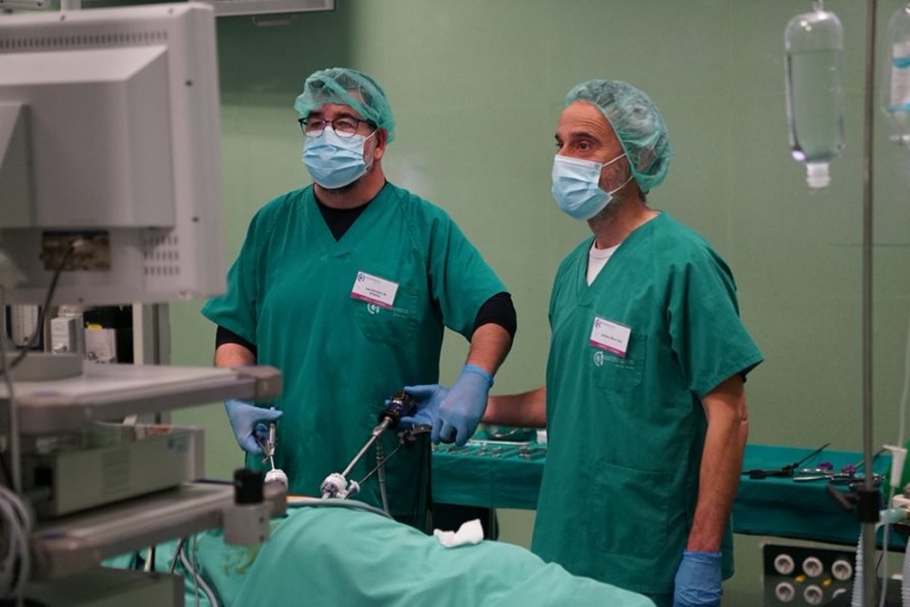 Ocho veterinarios especialistas en animales de compañía han realizado la estancia de formación en cirugía laparoscópica veterinaria.