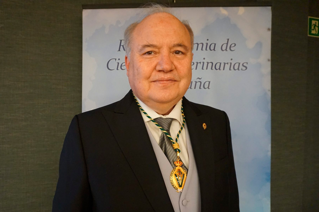 José Luis Benedito Castellote ha sido nombrado nuevo académico de número de la RACVE.