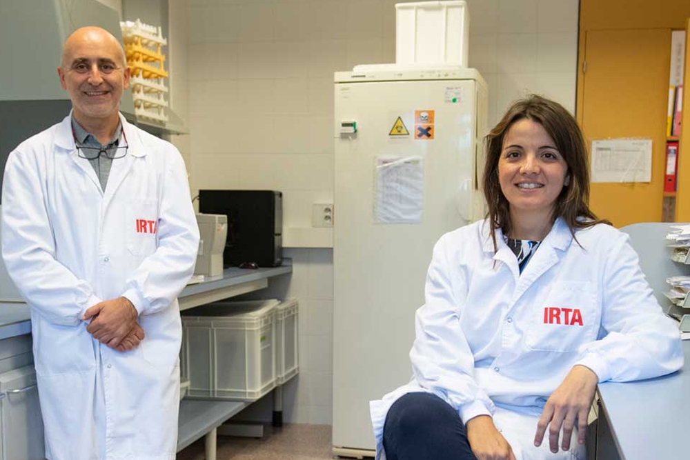 Los investigadores veterinarios del IRTA-CReSA Joaquim Segalés y Júlia Vergara.