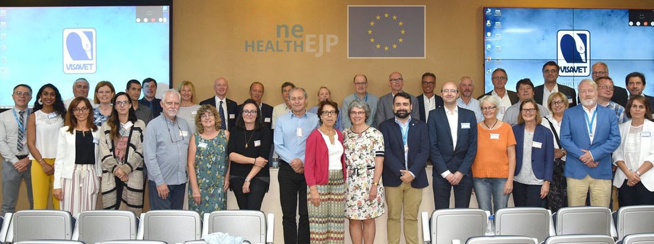 Junta de dirección científica del Programa Conjunto Europeo One Health (OHEJP) reunida en la sede de Visavet.