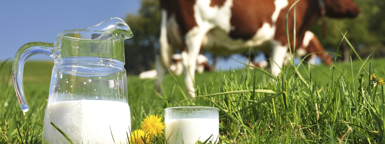 La Unión Europea promueve el consumo de leche 