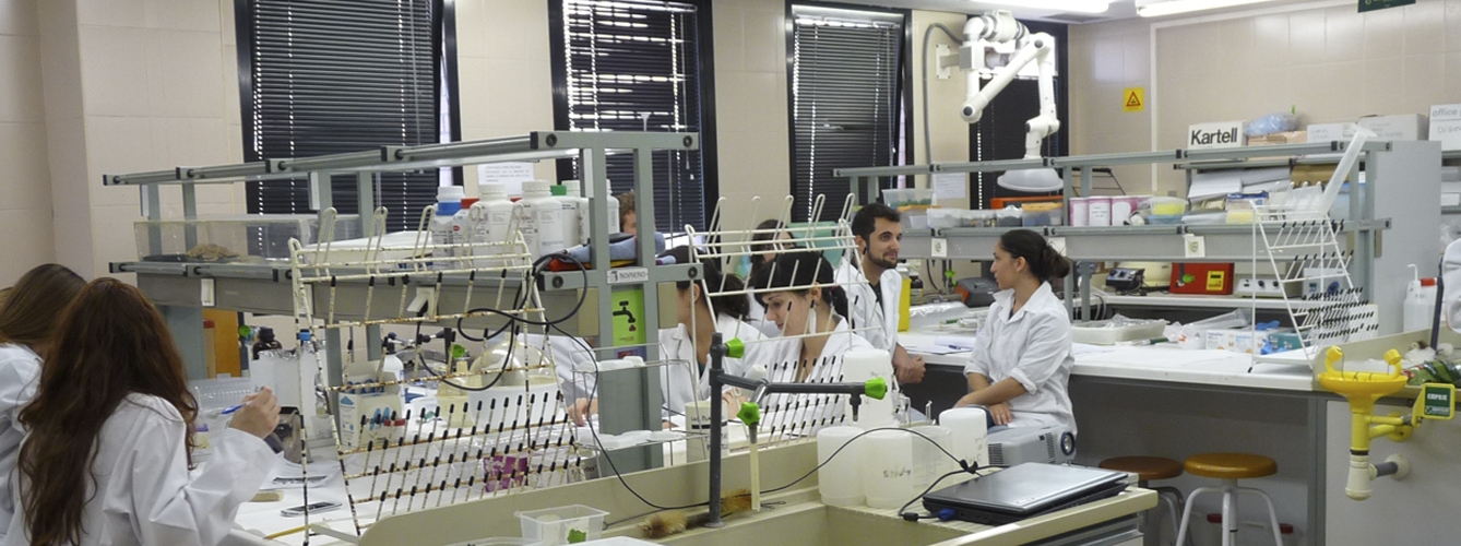 Laboratorio en la facultad de Veterinaria. Foto Universidad de Murcia.