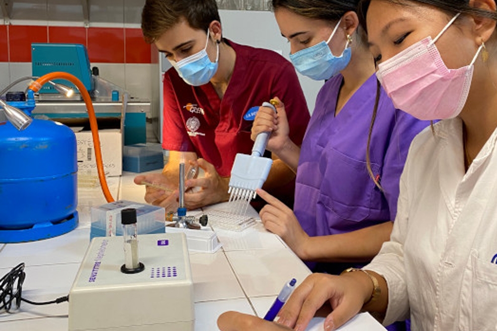 Voluntarias del laboratorio realizan un antibiograma junto a uno de los veterinarios de GREFA.