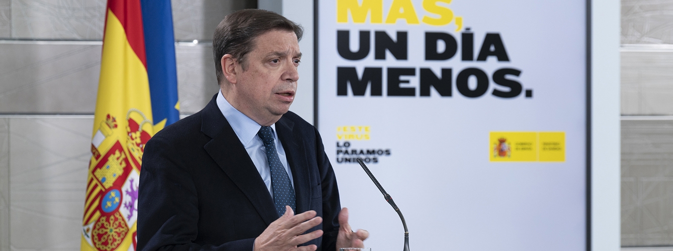 Luis Planas, ministro de Agricultura, Pesca y Alimentación.