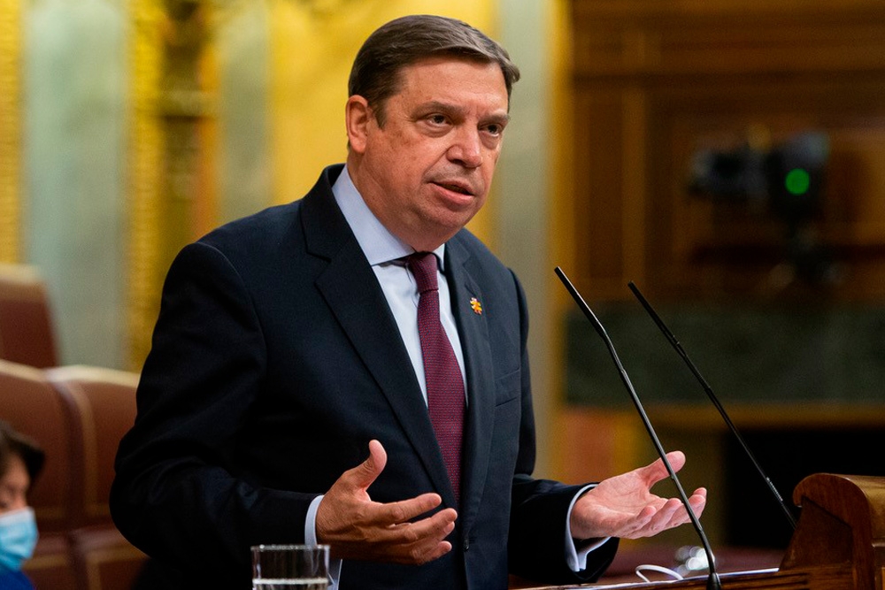 Luis Planas, ministro de Agricultura, Pesca y Alimentación.