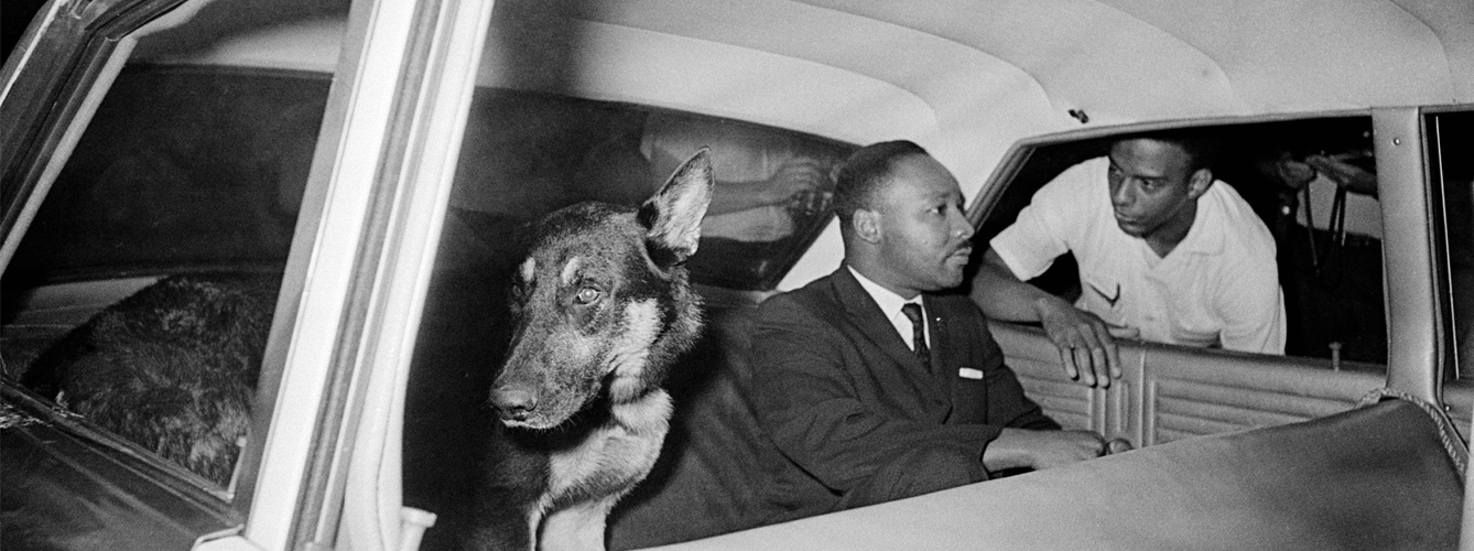 La fotografía fue tomada por B. Moreland en 1964, cuando King fue arrestado en Florida. En el coche de policía, se le colocó junto a un pastor alemán con el ánimo de intimidarle, pero en vez de ello, ambos se hicieron amigos.