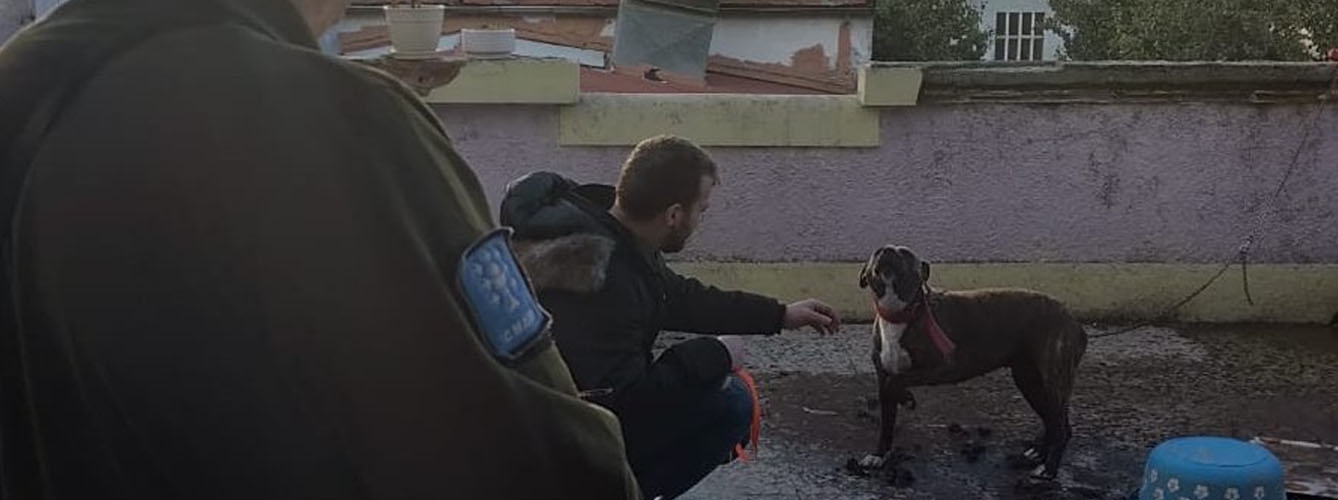 Imagen: Aprafoga, asociación profesional de agentes forestales y de medio ambiente de Galicia.