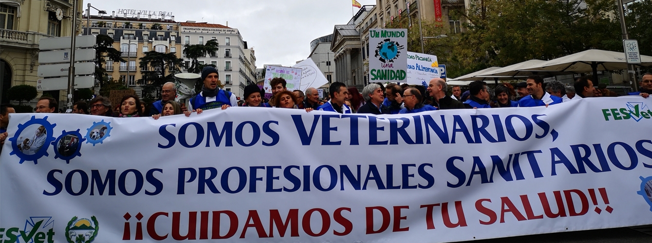Veterinarios de toda España se manifiestan ante el Ministerio de Sanidad