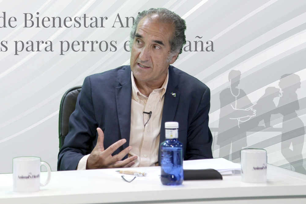 Manuel Lázaro, vocal de la Junta de Gobierno del Colegio de Veterinarios de Madrid, durante el debate de Animal's Health.