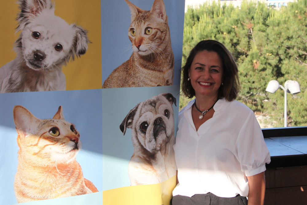 Marta Sánchez de Lerin, directora de la Unidad de Animales de Compañía en Zoetis España.