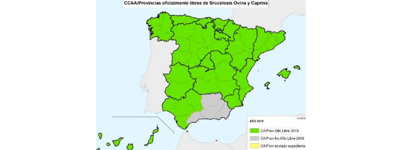 Solo quedan las provincias de Almería, Granada, Jaén y Málaga por ser declaradas oficialmente libre de brucelosis ovina y caprina.