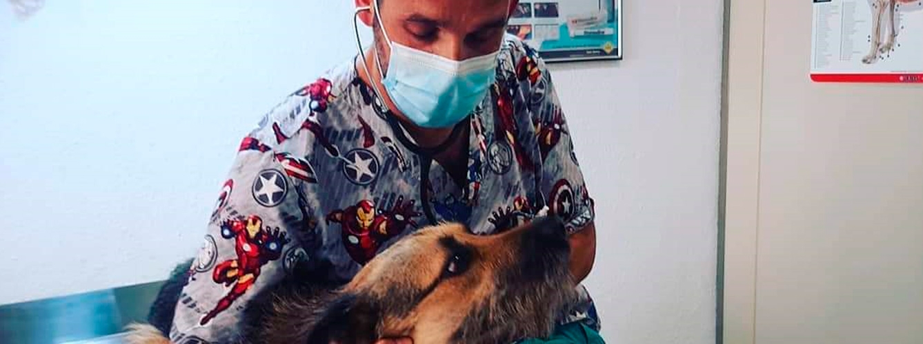 Arnau Bernet trabajando en su clínica con un perro.