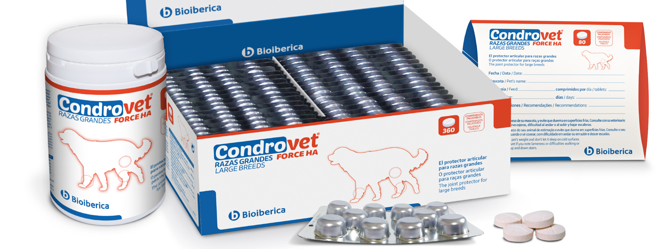 Bioibérica amplía su gama condroprotectora y lanza Condrovet Force HA Razas Grandes, para perros de más de 25 kilos.