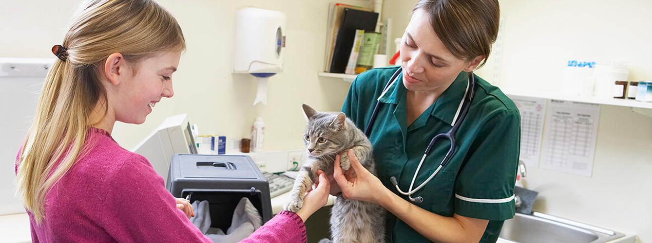 'Feel Free' es un programa de certificación veterinaria para aprender a gestionar el estrés de las mascotas en las visitas a la clínica veterinaria.