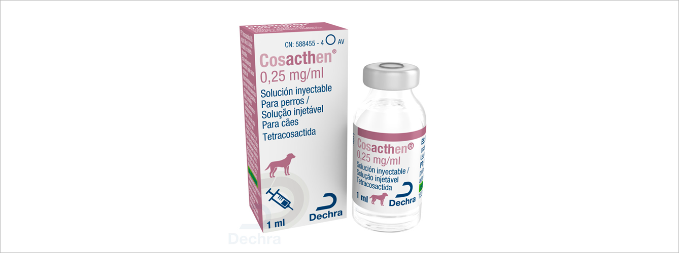 Cosacthen es la primera tetracosactida inyectable para perros.